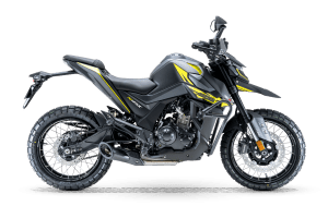 RZ 125 X